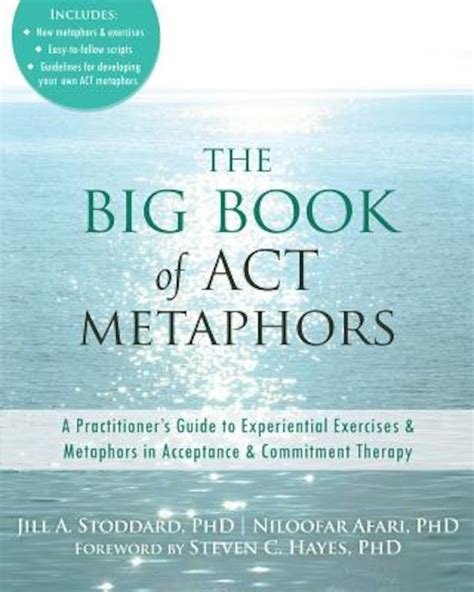 The big book of act metaphors a practitioneras guide to experiential exercises and metaphors in acceptance and commitment therapy. - Overhead door model rdb manual electrical diagram.