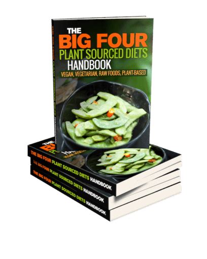 The big four plant sourced diet handbook. - Handbook on modelling for discrete optimization international series in operations.