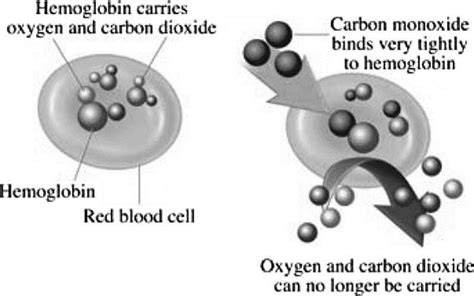 The binding mode of carbon monoxide to haemoglobin