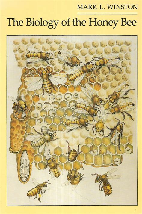 The biology of the honey bee by mark l winston. - Answer key study guide for content mastery.