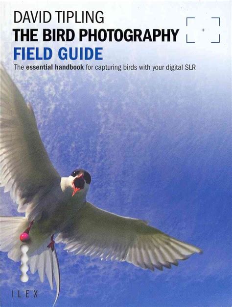 The bird photography field guide the essential handbook for capturing birds with your digital slr the field guide series. - 2009 dodge caravan video entertainment system manual.