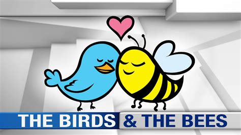 The birds and bees of words a guide to the. - Manual fundamental de soluciones de lógica digital.
