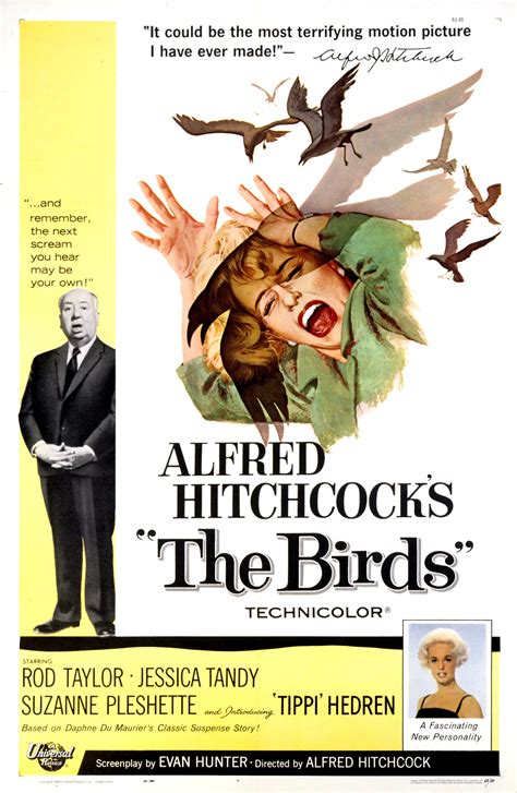The birds film wiki. The Birds (Italian: Gli uccelli) is a suite for small orchestra by the Italian composer Ottorino Respighi. Dating from 1928, the work is based on music from the 17th and 18th century [1] and represents an attempt to transcribe birdsong into musical notation, and illustrate bird actions, such as fluttering wings, or scratching feet. 