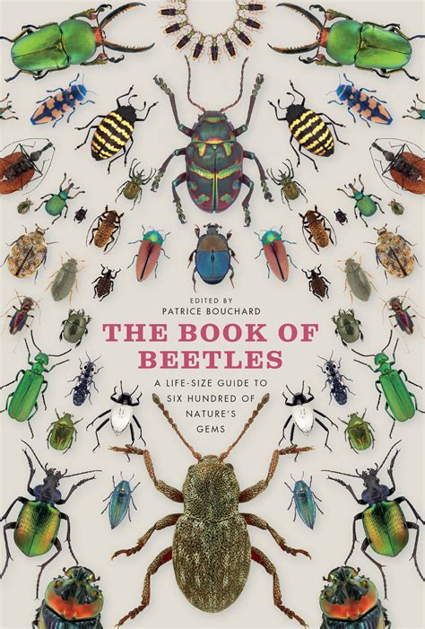 The book of beetles a life size guide to six hundred of nature s gems. - Educacion artistica musica 2 (educacion artistica, 2).