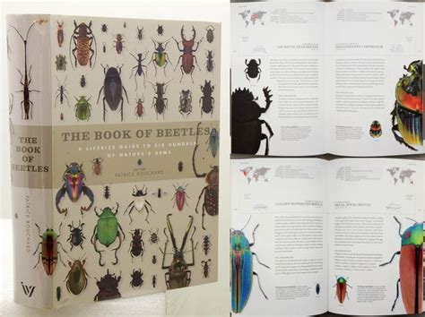 The book of beetles a life size guide to six hundred of natures gems. - Atlas copco ga 90 vsd manual.
