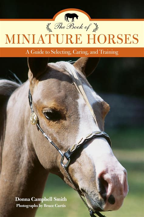 The book of miniature horses a guide to selecting caring and training. - Archivio storico dell'ex comune di collescipoli e i fondi aggregati, 1429-1927.