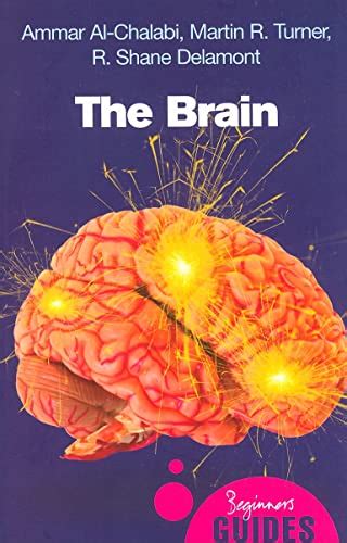 The brain a beginner s guide beginner s guides. - 1994 2004 subaru forester service manual.
