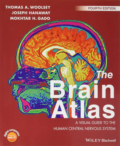 The brain atlas a visual guide to the human central nervous system. - Polaris atv 2004 sportsman 90 predator 50 90 repair manual improved.