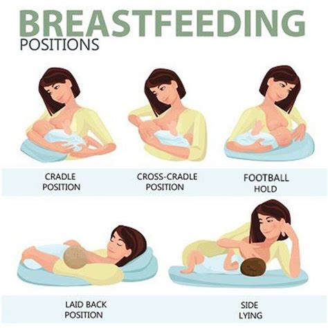 The breastfeeding guide all you need to have the best breastfeeding experience. - Art au-delà de l'ouest 3ème édition.