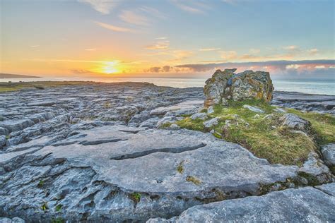 The burren. Things To Know About The burren. 