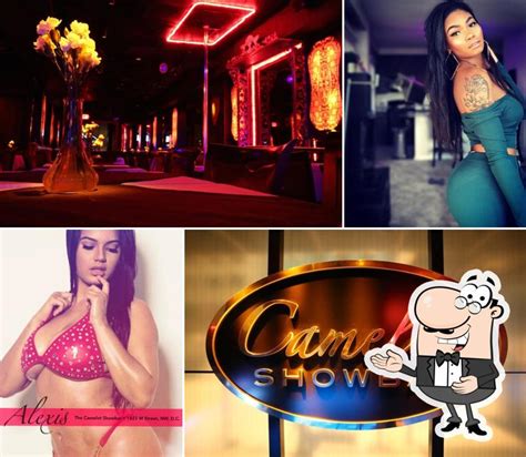 The camelot showbar strip club reviews. 11:30AM - 3:00AM. Saturday: 1:00PM - 3:00AM. Sunday: 7:00PM - 2:00AM. The Camelot Showbar goes beyond your typical D.C. strip club. Camelot has, and always will be, a true gentlemen's club. We opened our doors in 1979 on M Street, Northwest in prestigious mid-town, Washington D.C. The enduring concept of Camelot Showbar is simply to offer an ... 