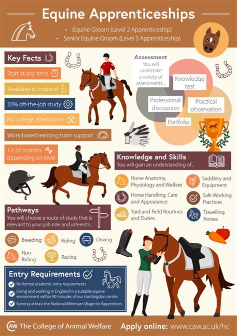 The career guide to the horse industry. - Gdt hierarchy pocket guide y 14 5 2009 free download.