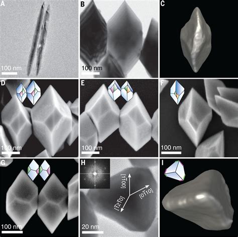 The chain of chirality transfer in tellurium nanocrystals