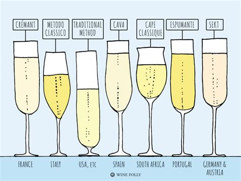 The champagne and sparkling wine guide 2001. - Ford focus rs st body repair manual.