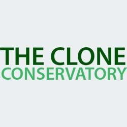 Mon – Fri 9am -6pm. Saturday 10am – 8pm. Sunday 9am – 4pm. Holidays TBD. The Clone Conservatory offers verified cannabis genetics originating from Int’l Seedbanks. All the varieties of marijuana offered on our Strain Menu were added after flowering seeds, in which the best genetics were identified and desired phenotypes preserved. . 