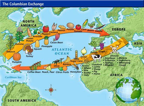 The columbian exchange