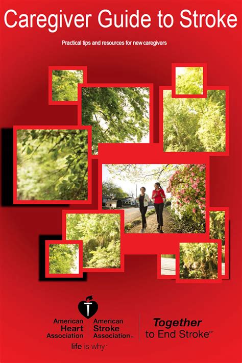 The comfort of home for stroke a guide for caregivers. - National geographic guide to national parks of the united states 7th edition national geographic guide to the.
