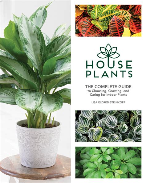 The complete book of house plants a step by step guide to plant care. - Cb550 cb650sc nighthawk clymer repair manual torrent.