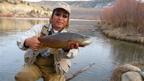 The complete flyfishing guide for the san juan river new mexico. - Zumdahl chemistry 9th edition solutions manual lisa.