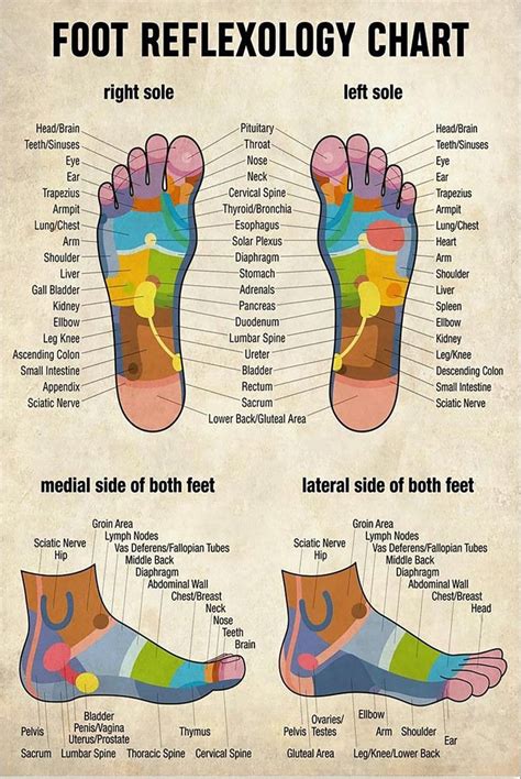 The complete guide to foot reflexology. - Pioneer dvr 530h s 630h s service manual repair guide.