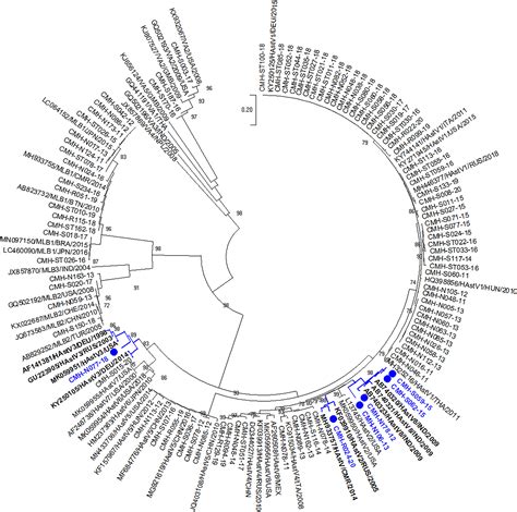 The complete sequence of a human astrovirus Microbiology …