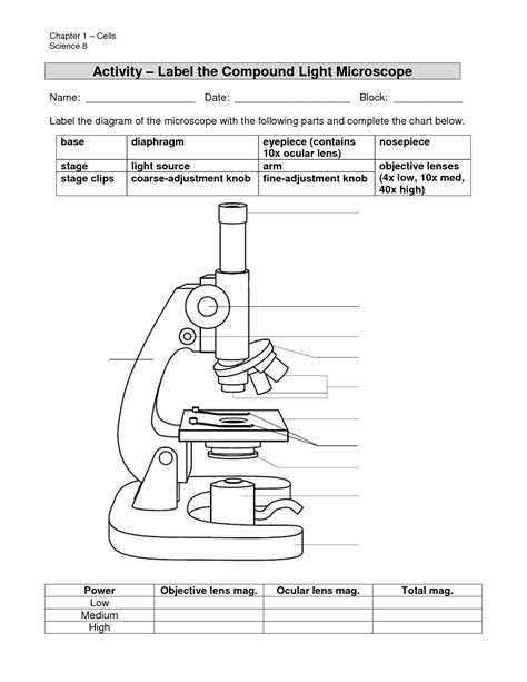 The compound microscope worksheet answers.  This is a free printable wo...