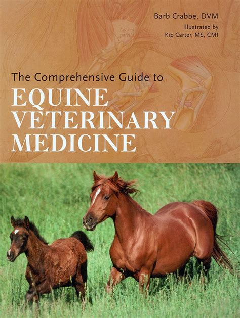 The comprehensive guide to equine veterinary medicine by barb crabbe. - The fundamentals of crest griffin guides.