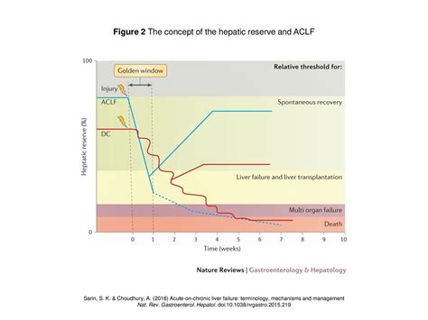 The concept of hepatic reserve and liver failure. The hepatic …