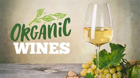 The consumers guide to organic wine. - Dmt the truth about dimethyltryptamine the ultimate beginners guide to a revolutionary compound and its full.