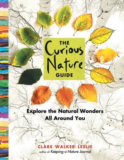 The curious nature guide explore the natural wonders all around. - The outsiders teacher guide novel units.