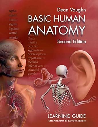 The dean vaughn total retention system basic human anatomy learning guide. - God heals birth defects first fruits.