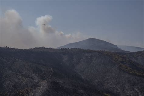 The death toll from wildfires in Greece this week rises to 21 after another victim is found