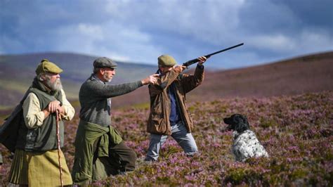 The debate about the merits of grouse shooting is …