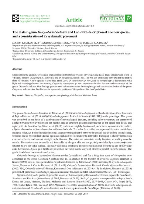 The diatom genus Oricymba in Vietnam and Laos with