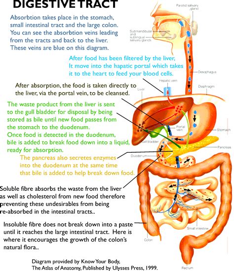 The digestive system insiders guide to the body. - Acta final del tercer período de sesiones de la comisión preparatoria para la desnuclearización de la américa latina.