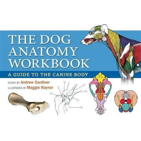 The dog anatomy workbook a guide to the canine body. - El jucio a gustavo stroessner mora.