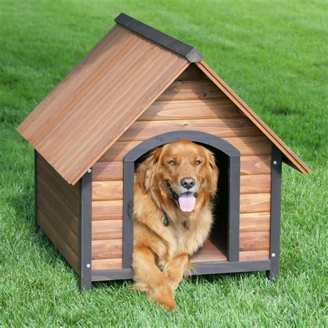The dog houses. Permanence. Outdoor dog houses tend to have a greater permanence than indoor ones. An indoor dog house will most likely be able to be picked up and moved or … 