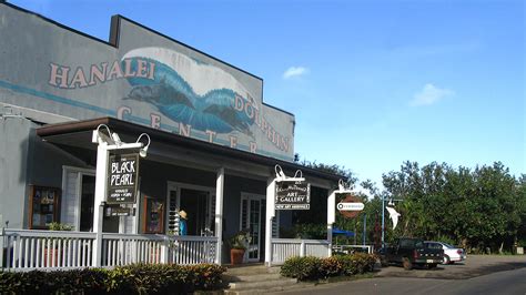 The dolphin hanalei. Sat 5:00 PM - 9:00 PM. (808) 826-6113. https://hanaleidolphin.com. Founded in 1977, Hanalei Dolphin Restaurant is located on the north shore of the island of Kaua'I in Hawaii. It is a family-owned and operated restaurant that serves lunch and dinner. It operates a fish market that sells crab rolls, teriyaki shrimp, filet mignon, salad … 