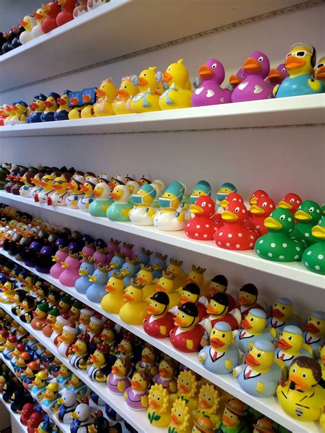 The duck store. 