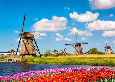 The dutch. Aug 24, 2020 · The Dutch hold back the ocean with a complex system of windmills, canals, dykes and dunes (Credit: Elena Eliachevitch/Getty Images) Since opening last year, the floating farm has become a curious ... 
