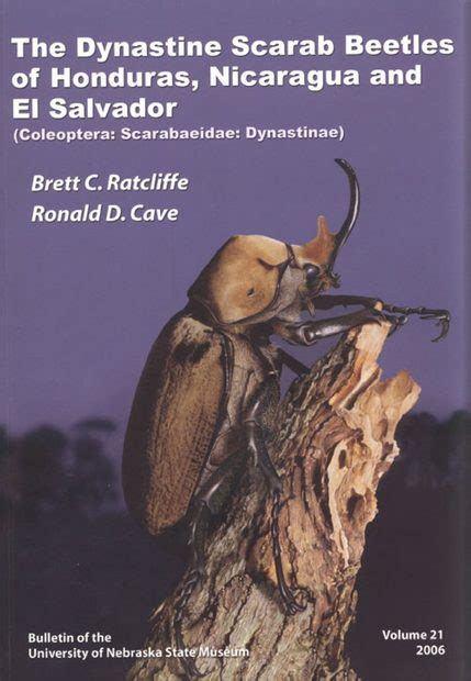 The dynastine scarab beetles of Honduras, Nicaragua, and El Salvador