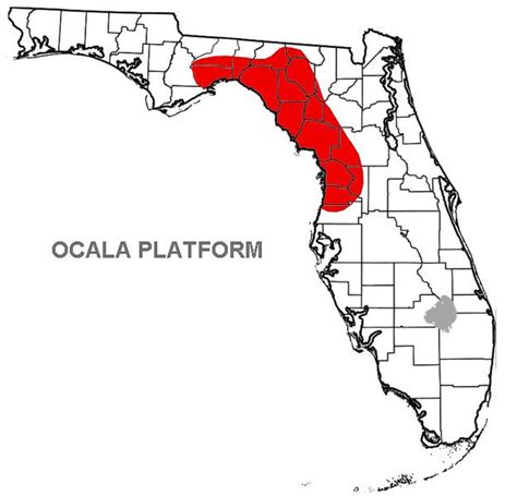 The economic reasoning behind the ocala platform assumes that.  Additionally...