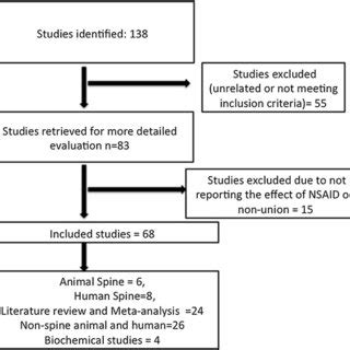 The effect of NSAIDs on spinal fusion: a cross-disciplinary review …