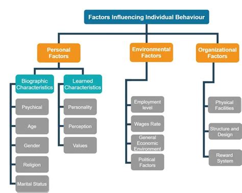 The effect of individual factors on user behaviour and the …