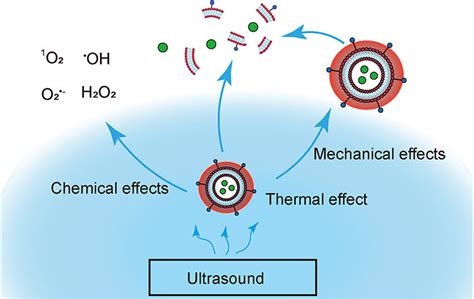 The effect of ultrasonic and heat treatment on some chloroplast reactions