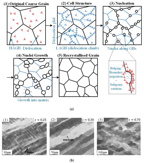 The effects of heterogeneous mechanical properties on the …