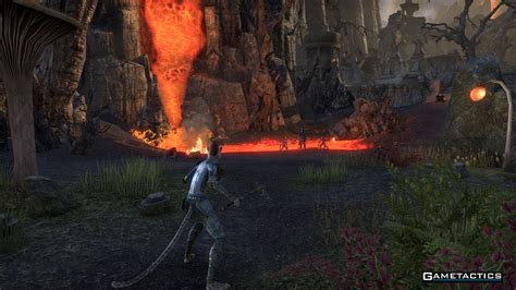 The elder scrolls online beta guide. - The perennial care manual a plant by plant guide what to do and when to do it.