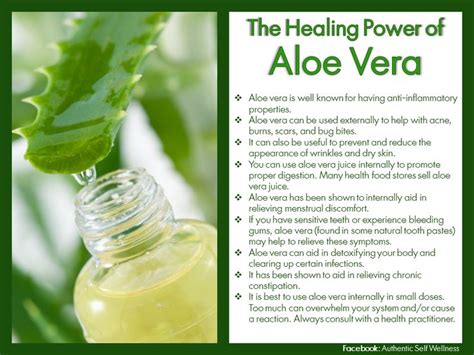 The everything guide to aloe vera for health discover the natural healing power of aloe vera everything health. - 2005 yamaha f25 hp outboard service repair manual2005 yamaha f225 hp outboard service repair manual.
