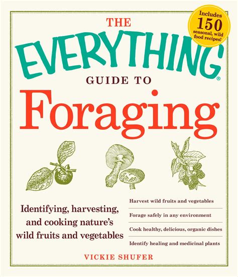 The everything guide to foraging by vickie shufer. - 1995 chrysler lebaron repair manual free download 7827.
