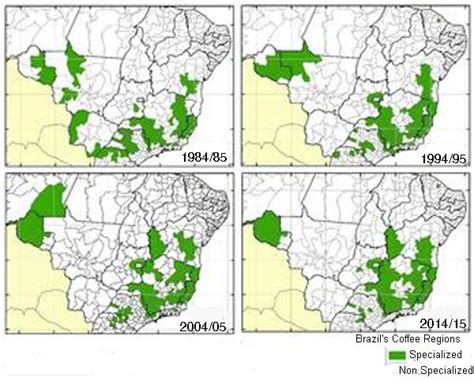 The evolution in coffee production in Brazil